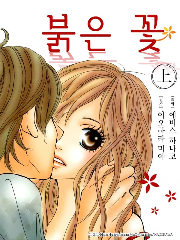 붉은 꽃