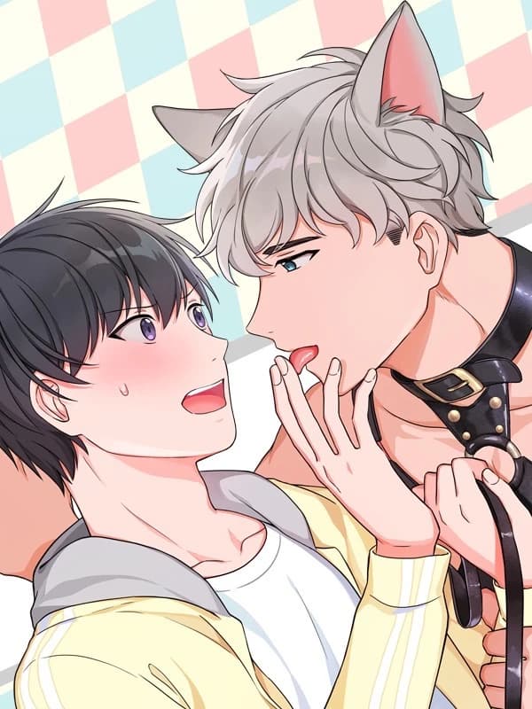 앉아, 기다려, 키스해 [개정판]