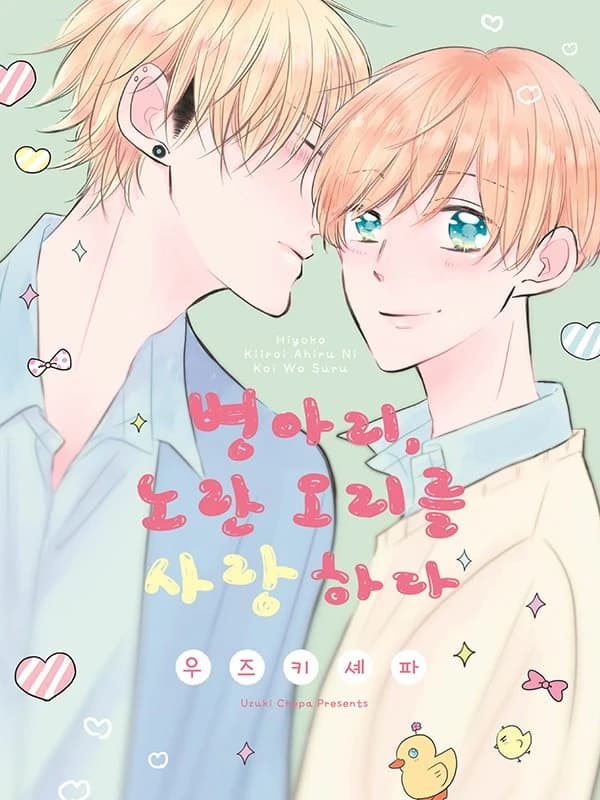 병아리, 노란 오리를 사랑하다