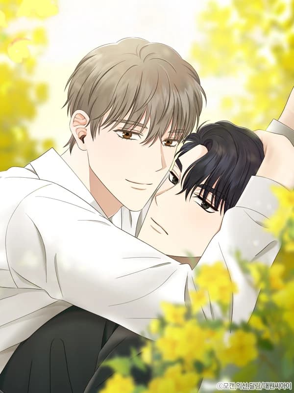 올 어바웃 유어 러브 [개정판]