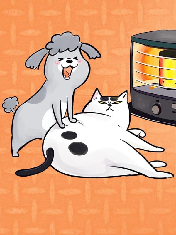 개와 고양이 둘 다 키우면 매일이 즐거워