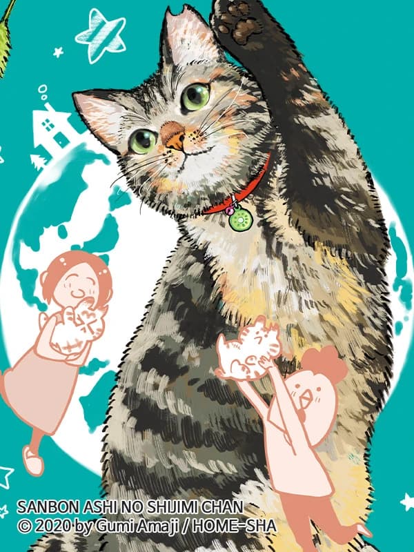 세 발의 시지미