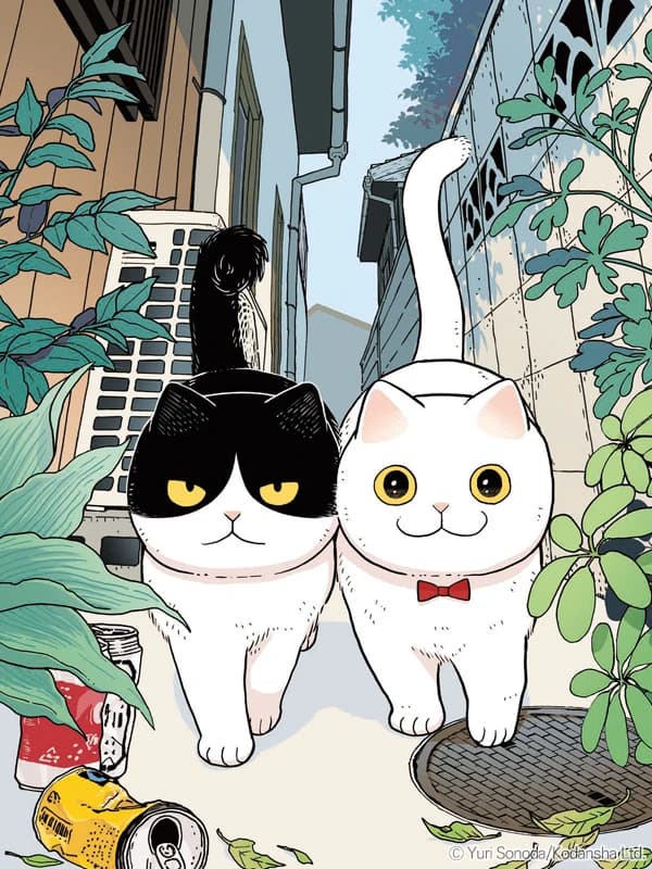 고양이 파트너 마루루와 하치