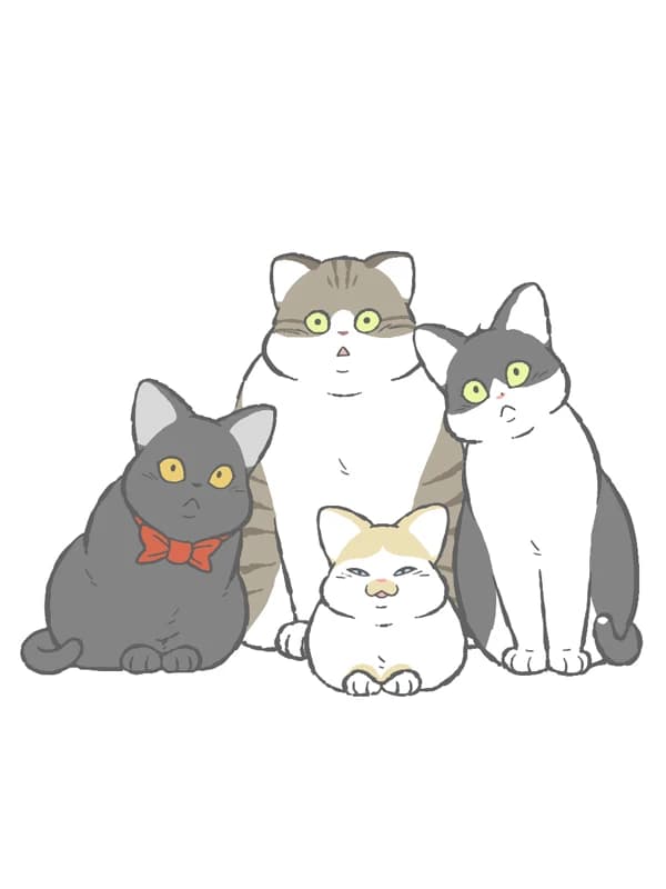 고로애옳